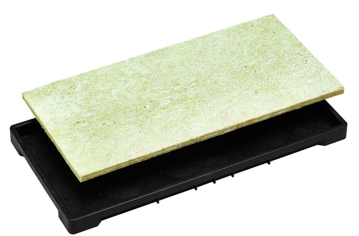 b8cc427a44de759669aebf6b27e93b